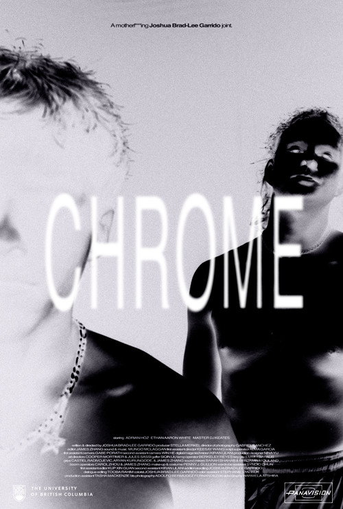 Movie poster for Chrome