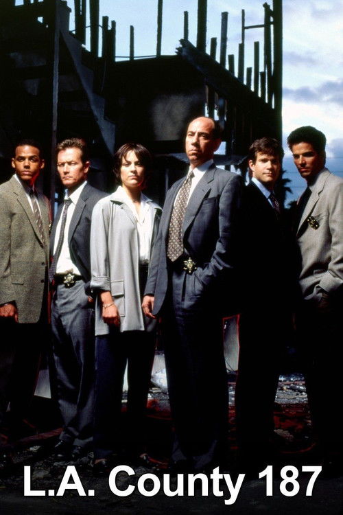 Movie poster for L.A. County 187 (2003)