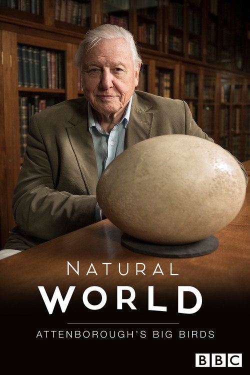 Movie poster for Attenborough's Big Birds (2015)