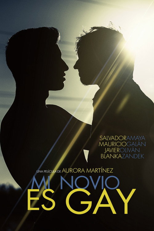 Movie poster for My Boyfriend Is Gay (2015)