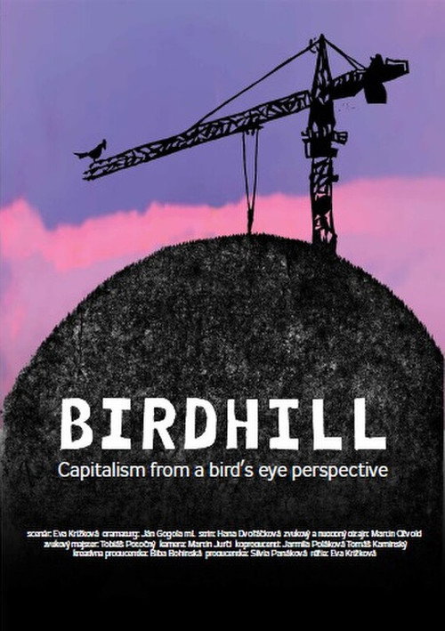 Movie poster for Birdhill (2024)