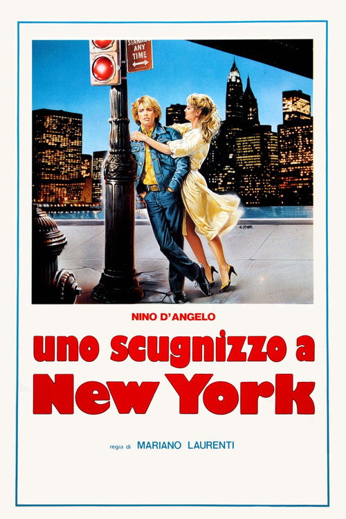 Movie poster for Neapolitan Boy in New York (1984)