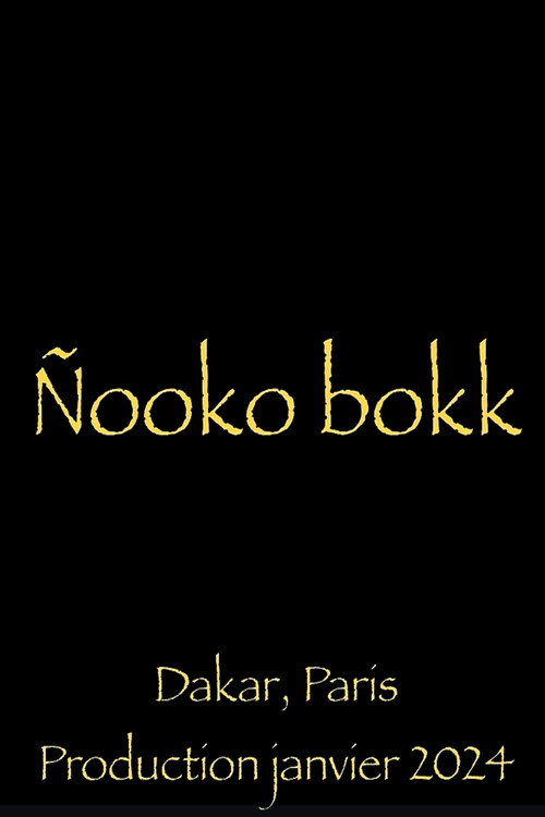 Movie poster for Nooko Bokk (2024)