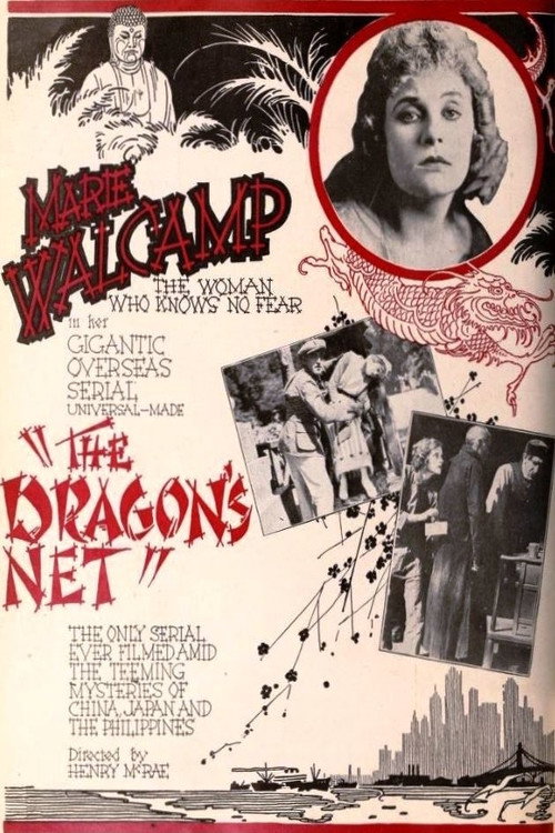 Movie poster for The Dragon's Net (1920)