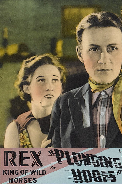 Movie poster for Plunging Hoofs (1929)