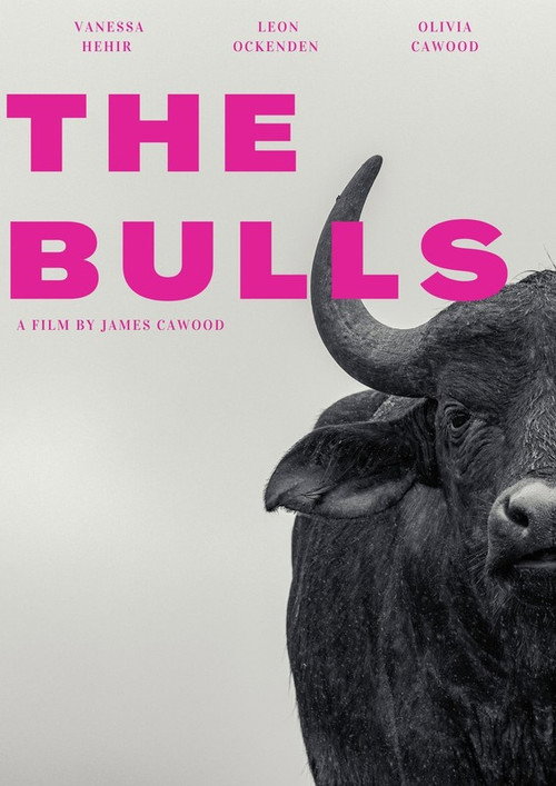 Movie poster for The Bulls (2023)