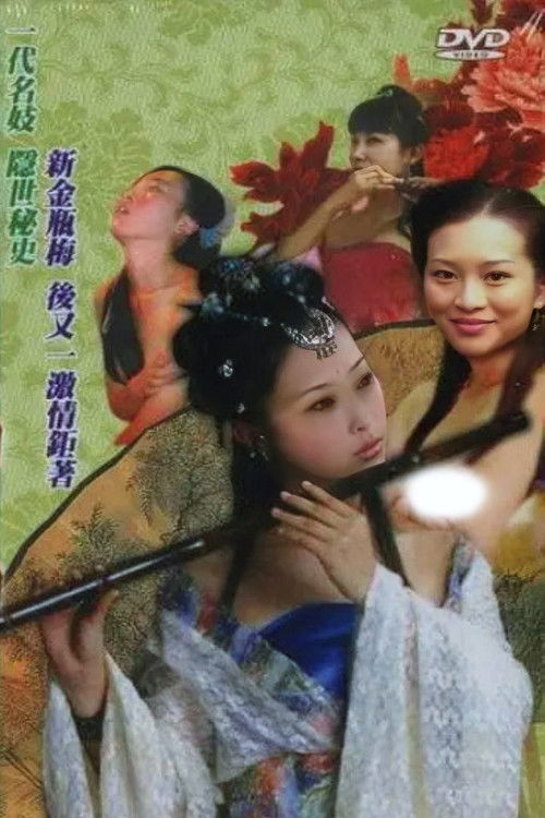 Movie poster for Chinese Four Given Names People Prostitute: Li Shishi (2005)