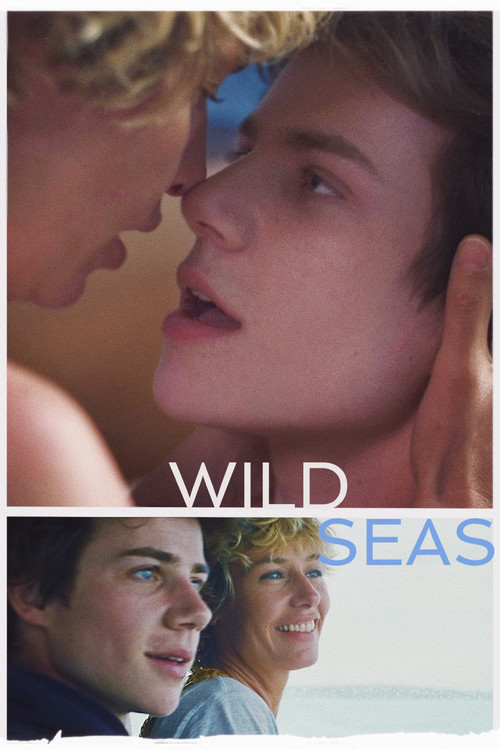 Movie poster for Wild Seas (2022)