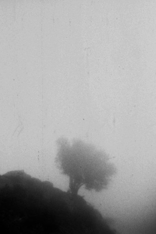 Movie poster for Only If You Could See a View Above the Clouds (2023)