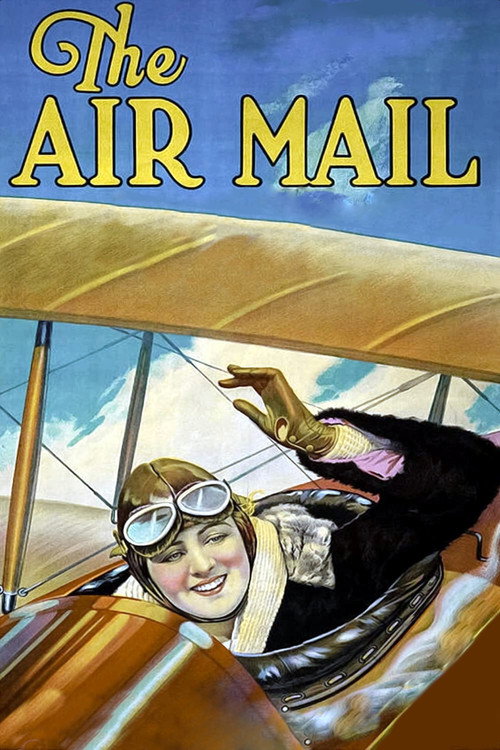 Movie poster for The Air Mail (1925)