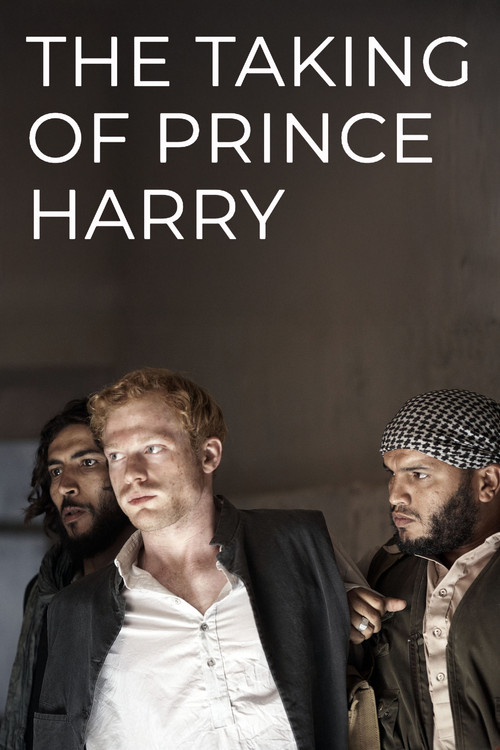 Movie poster for The Taking of Prince Harry (2010)