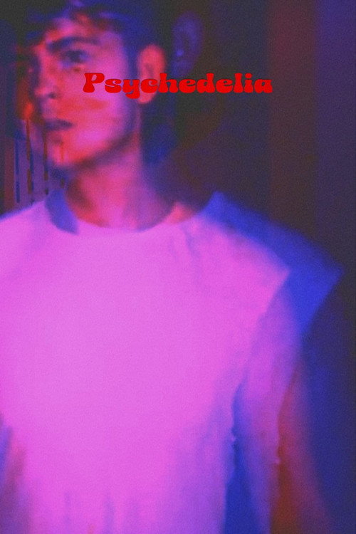 Movie poster for Psychedelia (2022)
