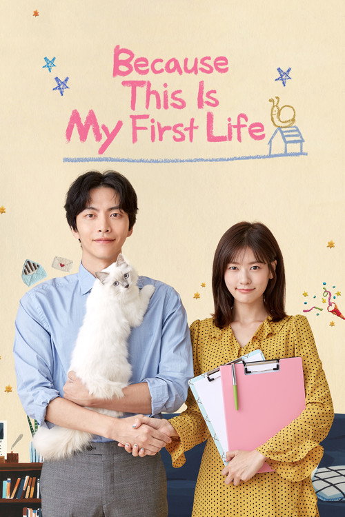 Series poster for Because This Is My First Life (2017)