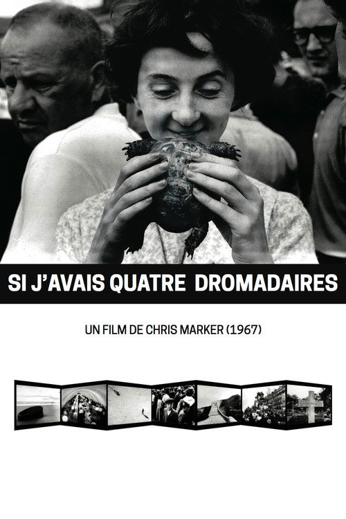Movie poster for If I Had Four Dromedaries (1966)