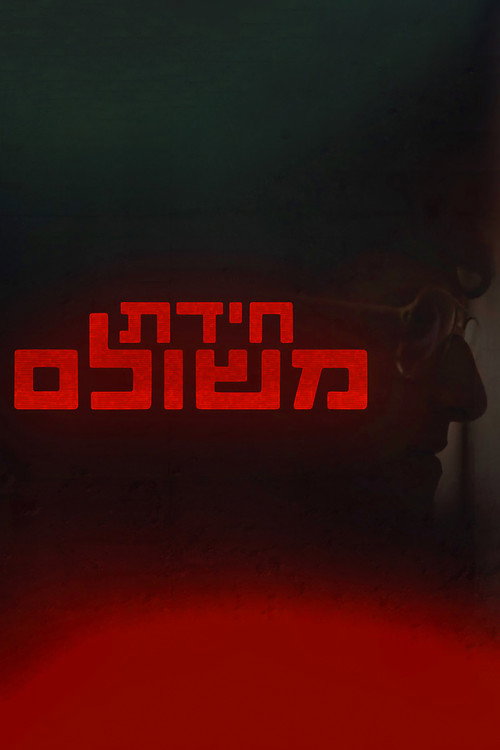 Series poster for Meshulam's Riddle (2022)