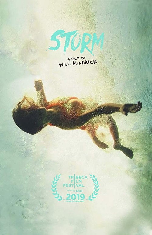 Movie poster for Storm (2019)