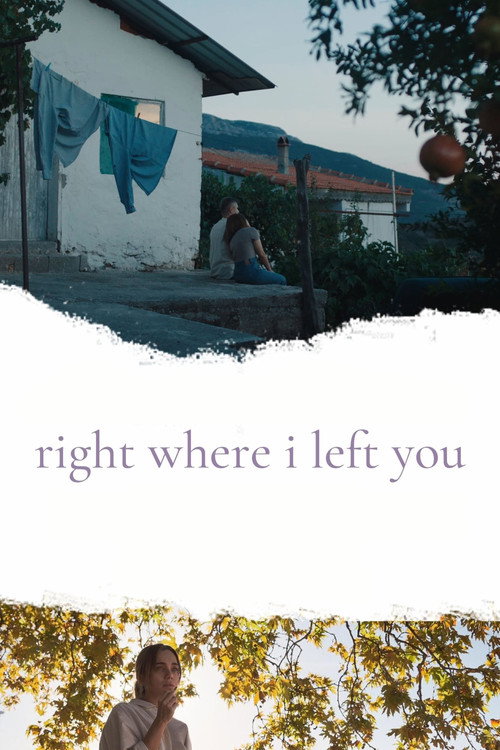 Movie poster for Right Where I Left You (2024)