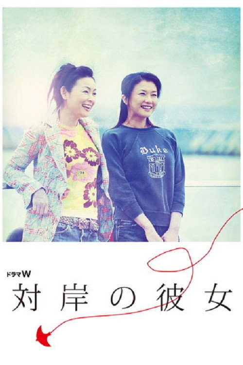 Movie poster for The Woman Opposite (2006)