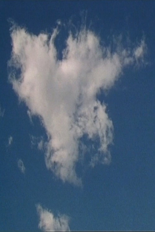Movie poster for The Cloud (2002)