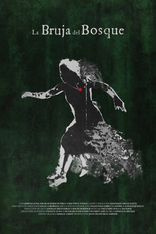 Movie poster for The Witch of the Woods