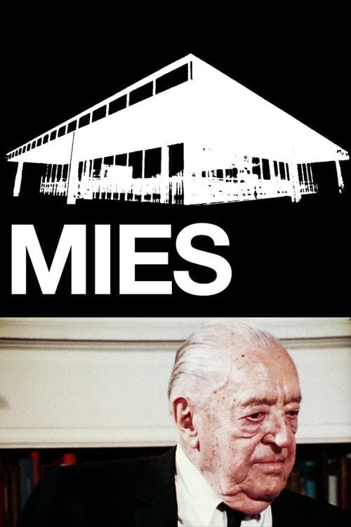 Movie poster for Mies (1986)