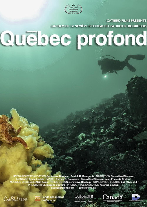 Movie poster for Deep Québec