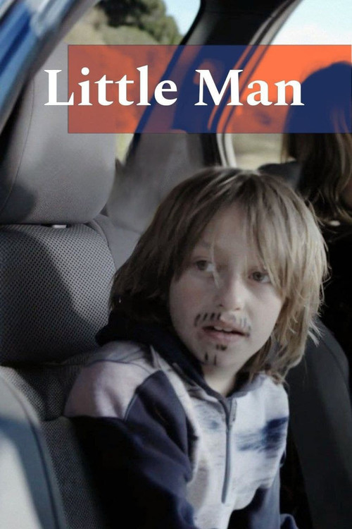 Movie poster for Little Man (2013)