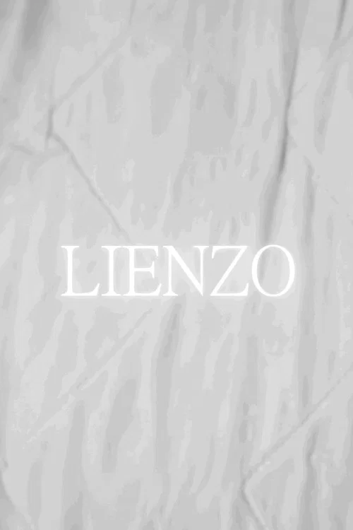 Movie poster for Lienzo (2025)