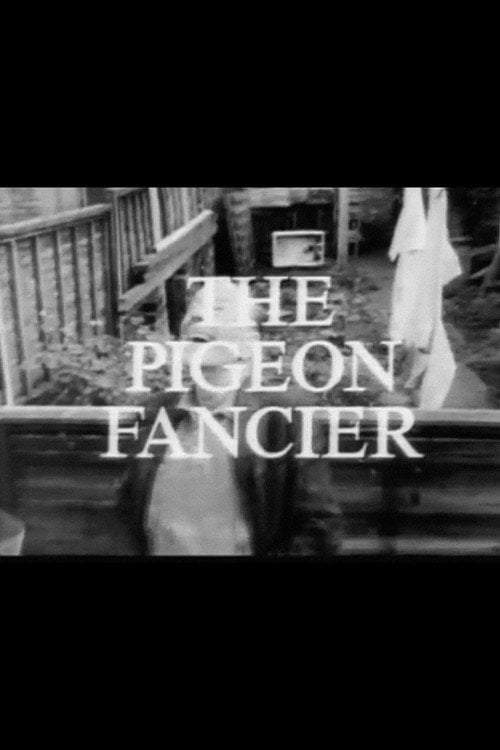 Movie poster for The Pigeon Fancier (1971)
