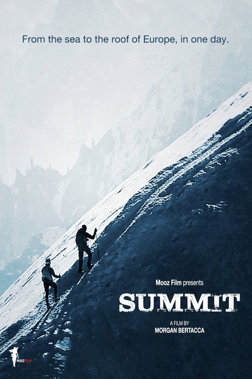 Movie poster for Nico Valsesia - From Zero To Monte Bianco - Summit (2013)