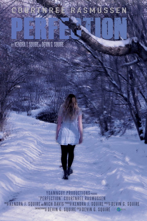 Movie poster for Perfection (2016)