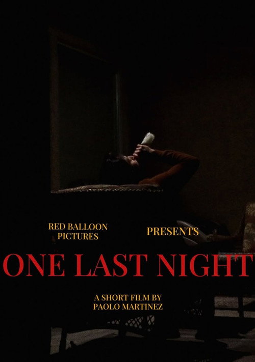 Movie poster for One Last Night (2024)