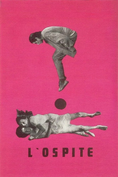 Movie poster for The Guest (1971)
