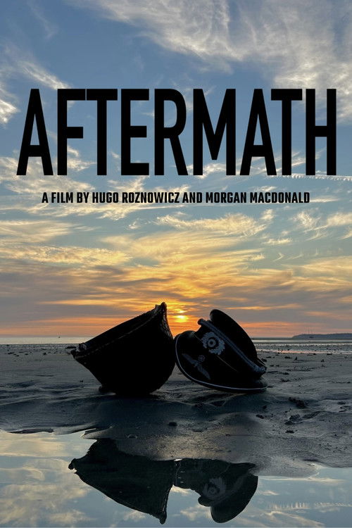 Movie poster for Aftermath (2025)