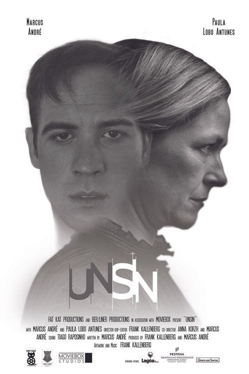 Movie poster for Unsin