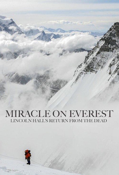 Movie poster for Miracle on Everest (2008)