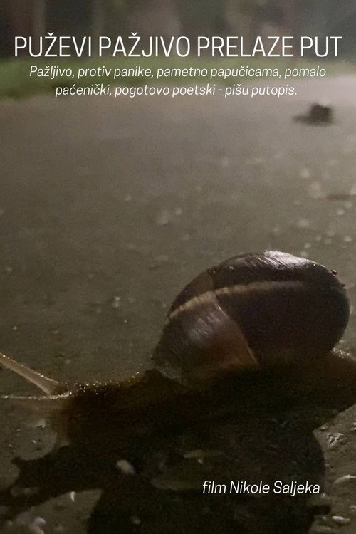 Movie poster for Snails Steadily Stroll the Street (2024)