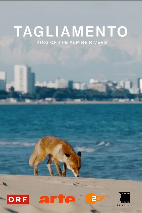 Movie poster for Tagliamento - King of The Alpine Rivers (2024)
