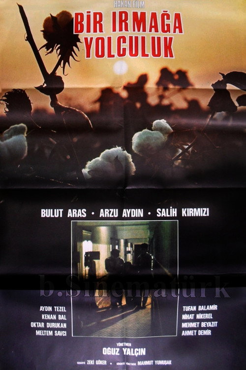 Movie poster for Bir Irmağa Yolculuk (1988)