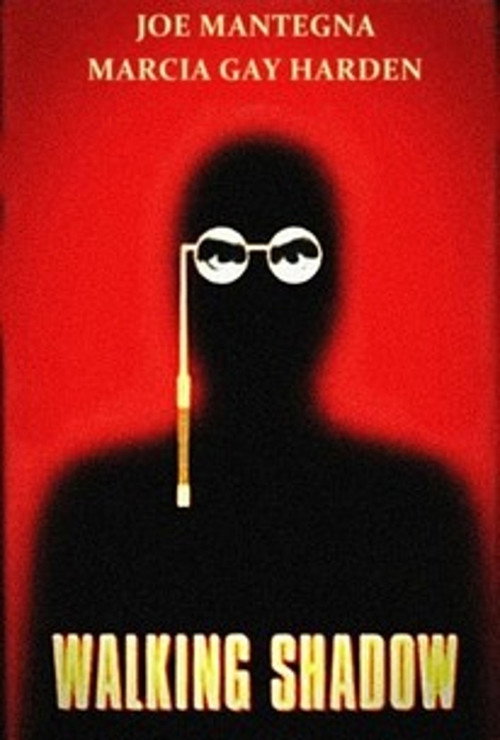 Movie poster for Walking Shadow (2001)