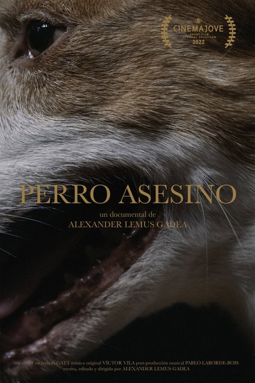 Movie poster for Perro Asesino