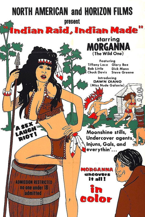Movie poster for Indian Raid, Indian Made (1969)