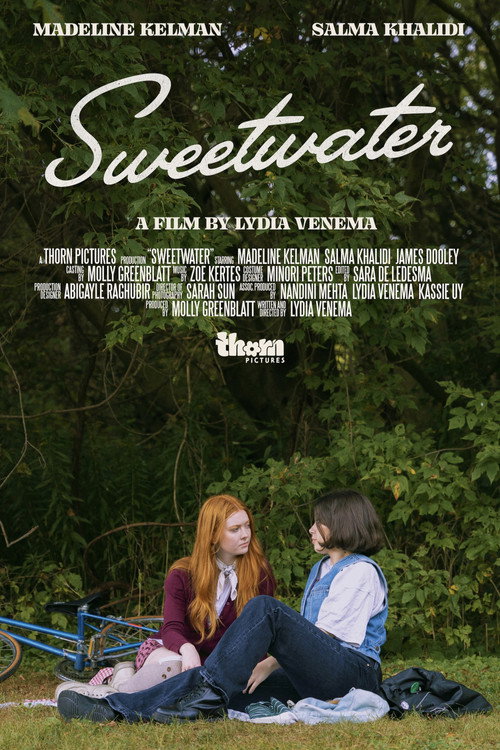Movie poster for Sweetwater