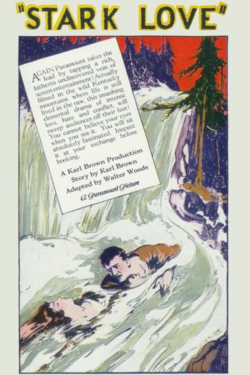Movie poster for Stark Love (1927)