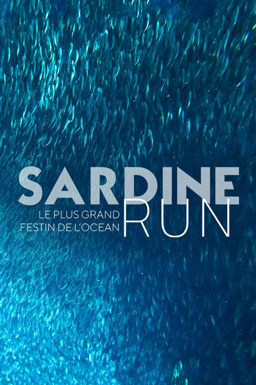 Movie poster for Sardine Run, le plus grand festin de l'océan (2022)