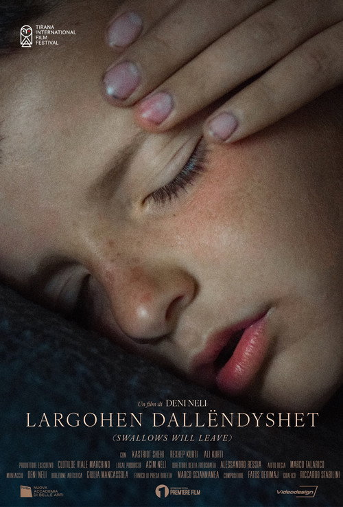 Movie poster for Largohen Dallëndyshet