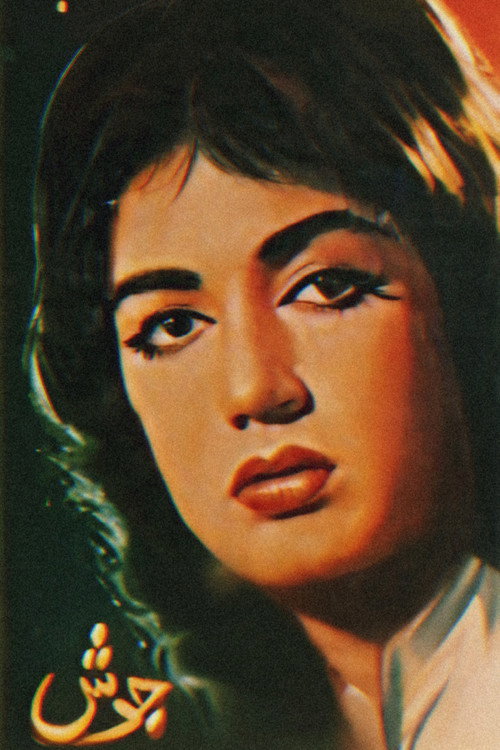Movie poster for Josh (1966)