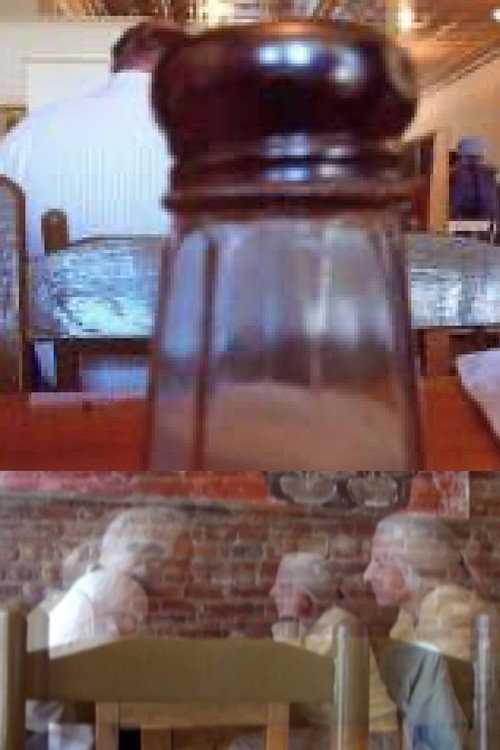Movie poster for THE SALT SHAKER AND THE MOON (2009)