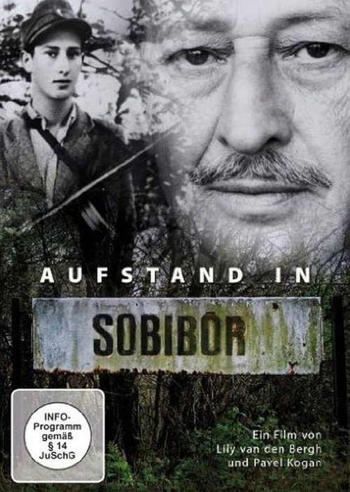 Movie poster for Revolt in Sobibor (1989)