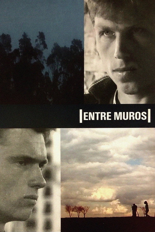 Movie poster for In Between Walls (2003)